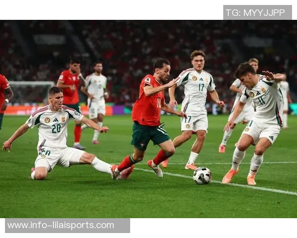 匈牙利足球比赛精彩回顾与未来展望分析